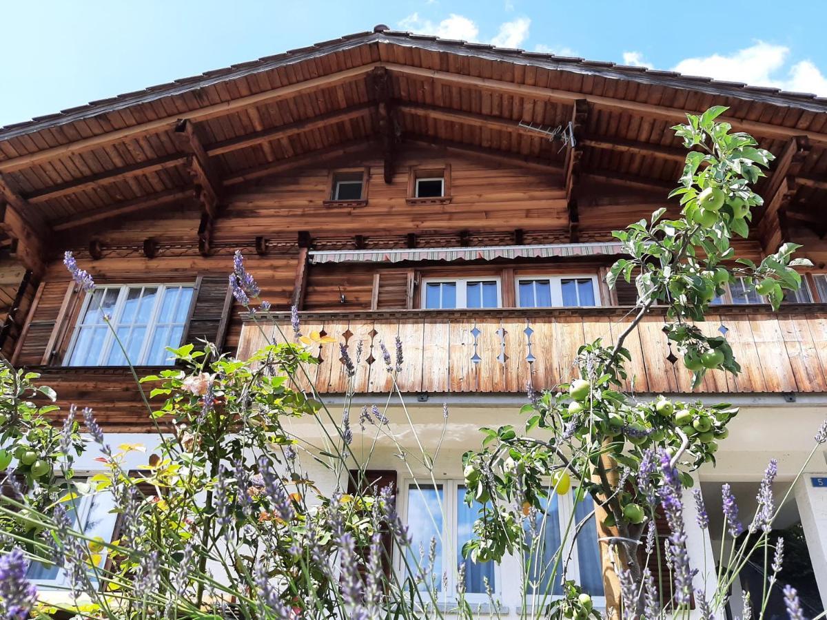 Cozy Chalet By Interlaken. Parking Apartment Ringgenberg Exterior foto